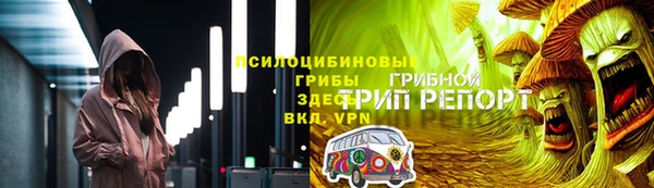 мескалин Касимов