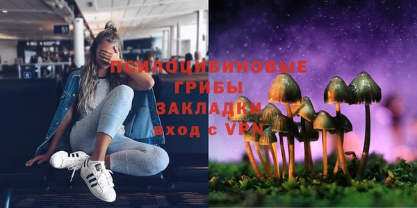 мескалин Касимов