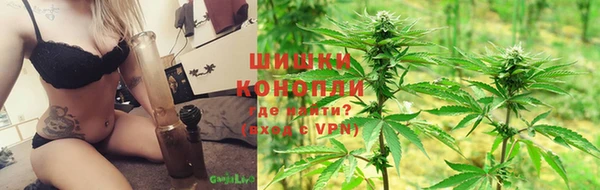 винт Карпинск