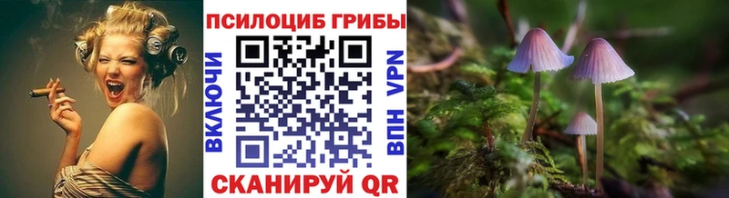 Галлюциногенные грибы мицелий  Купить закладки  Артёмовск 